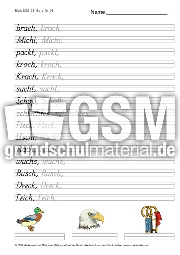 DSS_2S_Bu_c_Nr_08.pdf